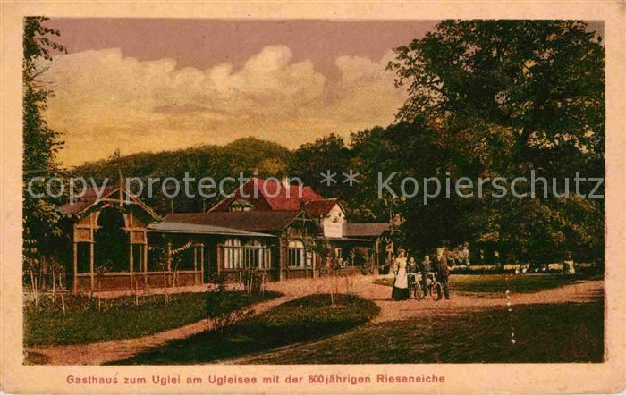 Uglei See Rieseneiche Gasthaus