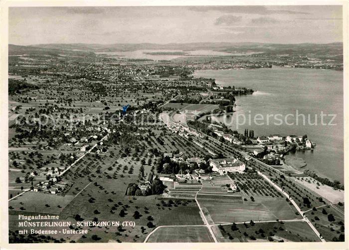 Muensterlingen Bodensee Scherzingen Flugaufnahme