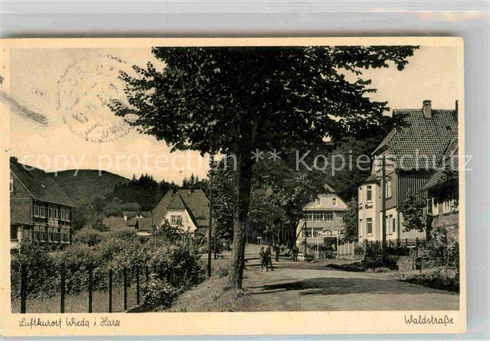 Wieda Luftkurort Waldstrasse