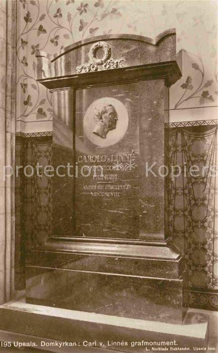 Upsala Domkyrkan Carl Linnes Monument