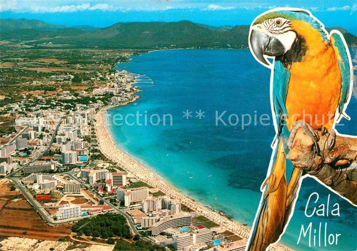 Cala Millor Mallorca Luftaufnahme