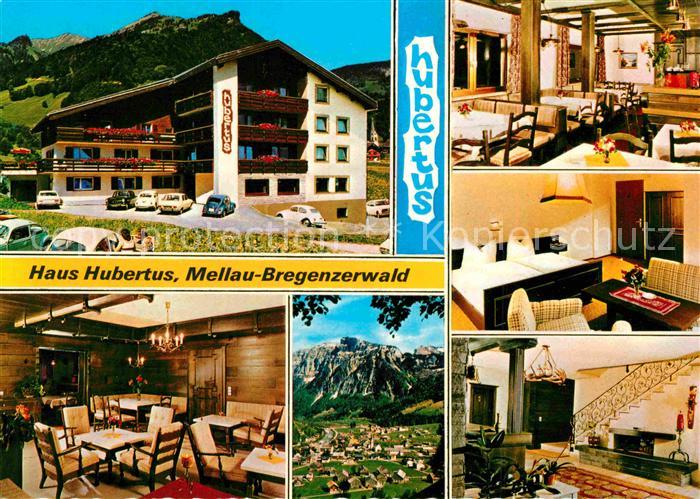 Mellau Vorarlberg Haus Hubertus Panorama