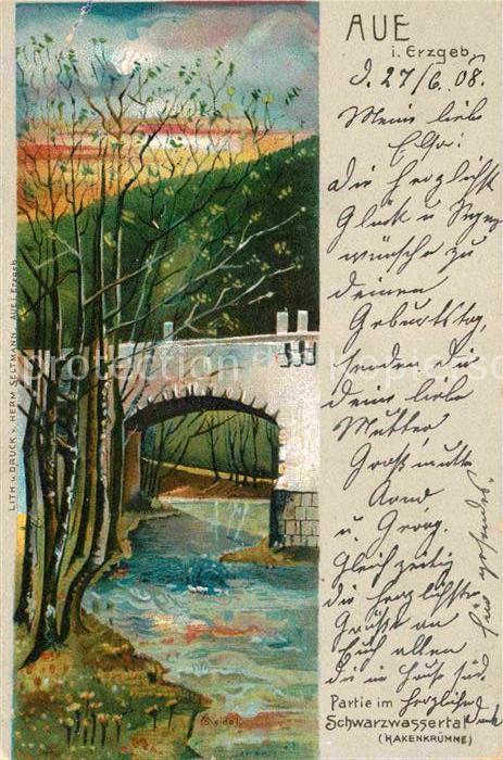 Aue Erzgebirge Partie im Schwarzwassertal