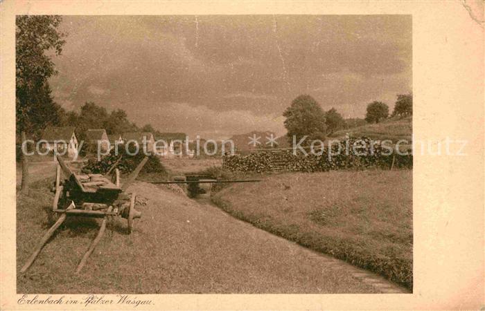 Erlenbach Dahn Partie am Bach