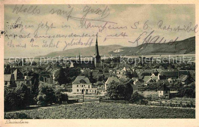 Deidesheim Gesamtansicht