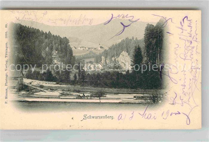 Schwarzenberg Baiersbronn Teilansicht