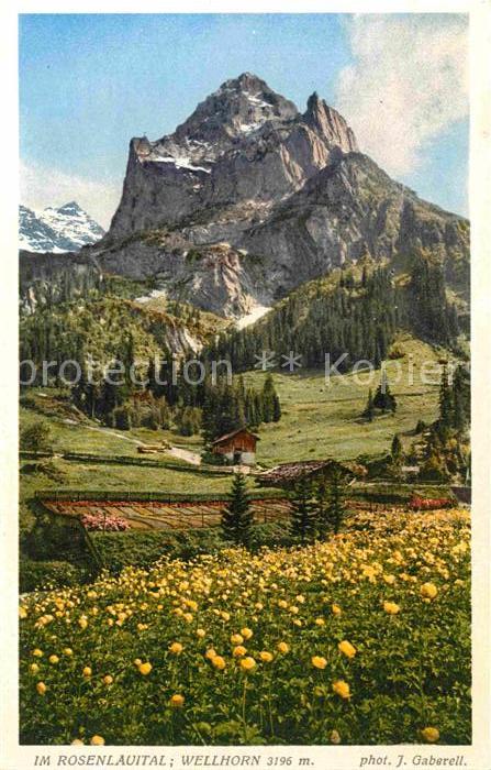 Foto Gaberell J. Nr. 13706 Rosenlauital Wellhorn