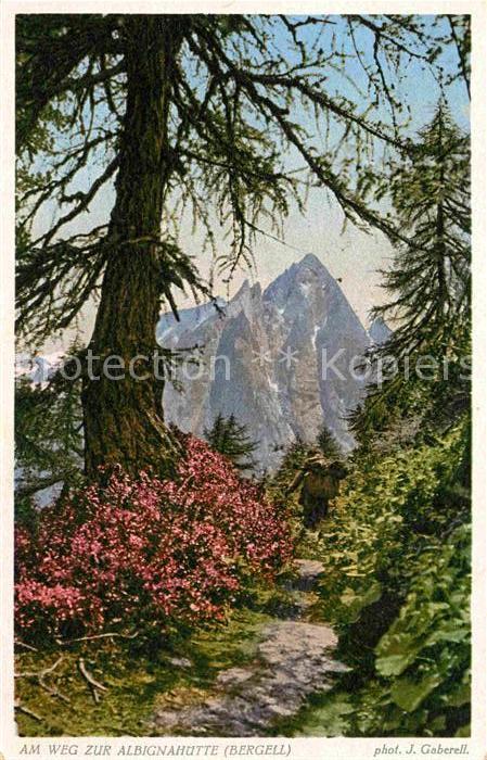 Foto Gaberell J. Nr. 4301 Weg zur Albignahütte Bergell
