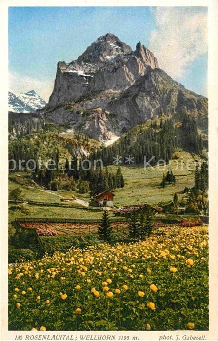Foto Gaberell J. Nr. 13706 Rosenlauital Wellhorn