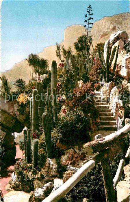 Kakteen Massif de Pachycereus Jardin Exotique d