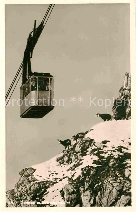 Seilbahn Nebelhorn Gemsen Oberstdorf