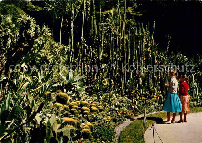 Kakteen Stadtgarten Überlingen Bodensee