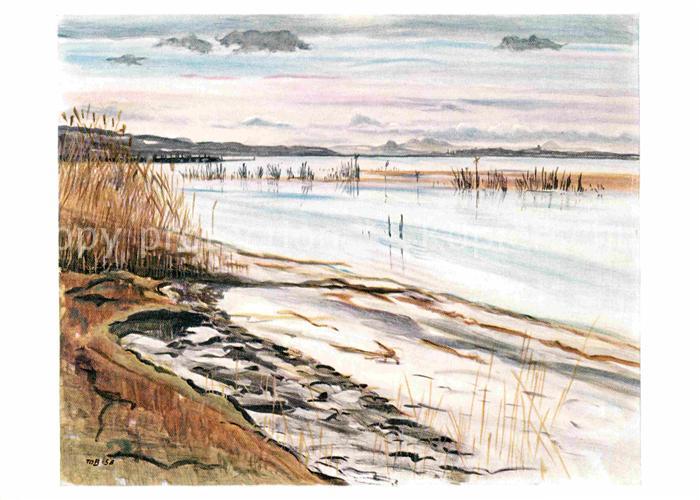 Kuenstlerkarte Max Boller Untersee mit Hegau