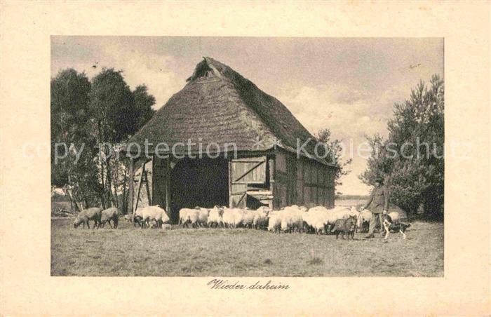 Schafe Schafstall Stempel 4. Nebel-Ersatz-Abte