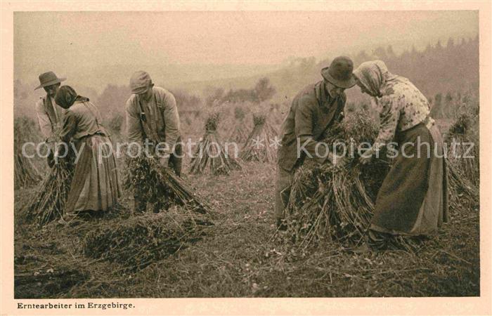 Ernte Landwirtschaft Erntearbeiter Erzgebirge