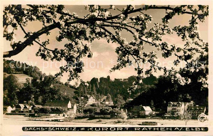 Foto Hahn Nr. 857 Rathen Sächsische Schweiz