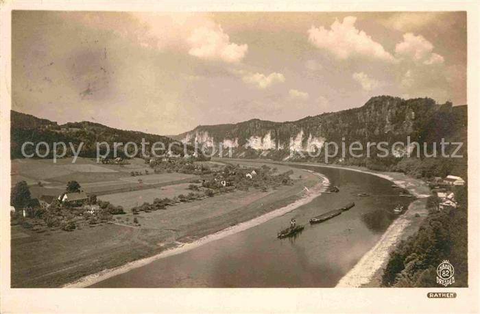 Foto Hahn Nr. 82 Rathen