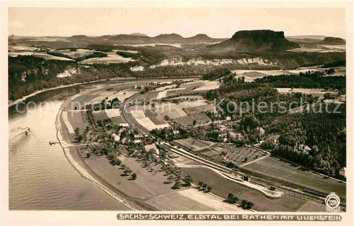 Foto Hahn Nr. 3204 Elbtal Rathen Lilienstein