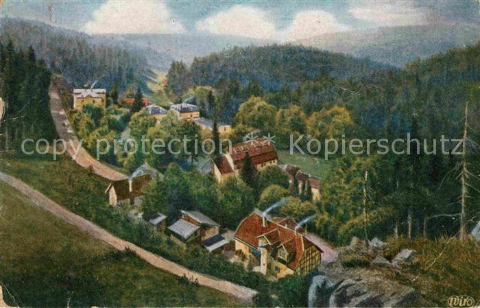 Verlag Wiedemann WIRO Nr. 3488 A Friedrichroda Kuehle Tal