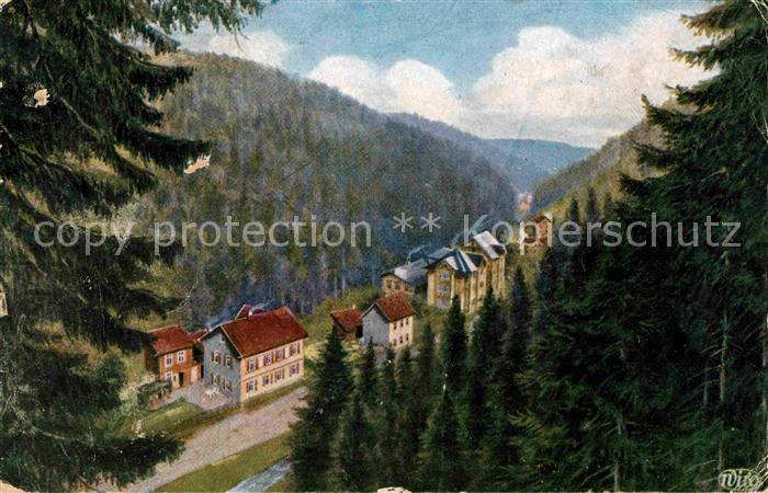 Verlag Wiedemann WIRO Nr. 3490 A Friedrichroda Grund