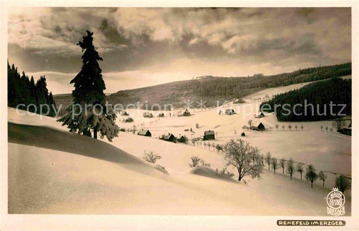 Foto Hahn Nr. 6188 Rehefeld Erzgebirge
