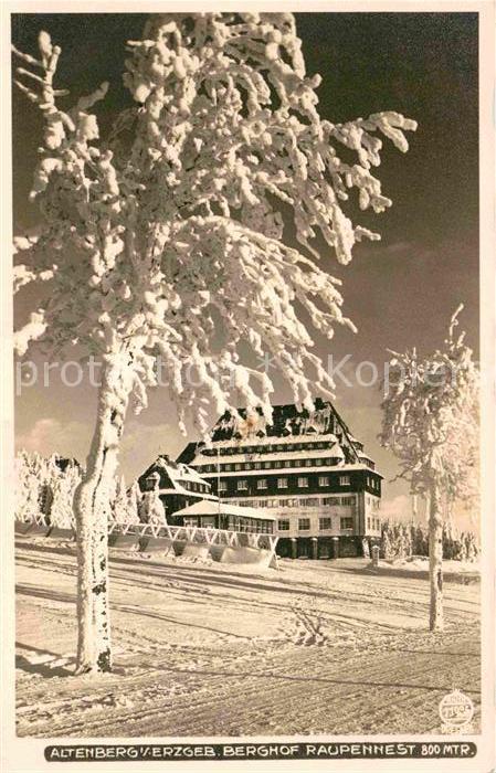 Foto Hahn Nr. 11936 Altenberg Erzgebirge Berghof Raup