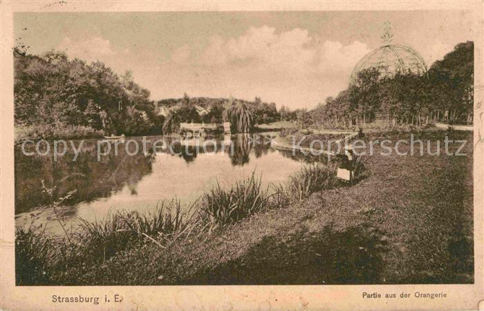 Strassburg Elsass Partie Orangerie