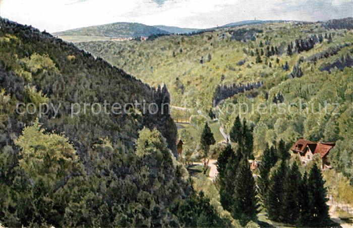 Verlag Wiedemann WIRO Nr. 2174 A Bad Wildungen Helenental