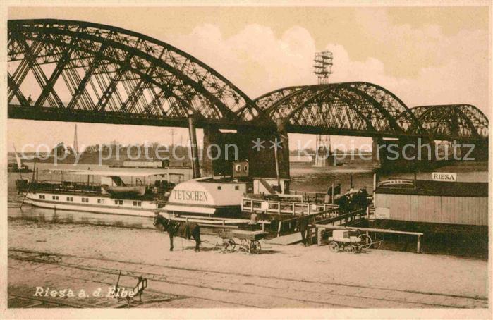 Dampfer Seitenrad Tetschen Riesa Elbbrücke