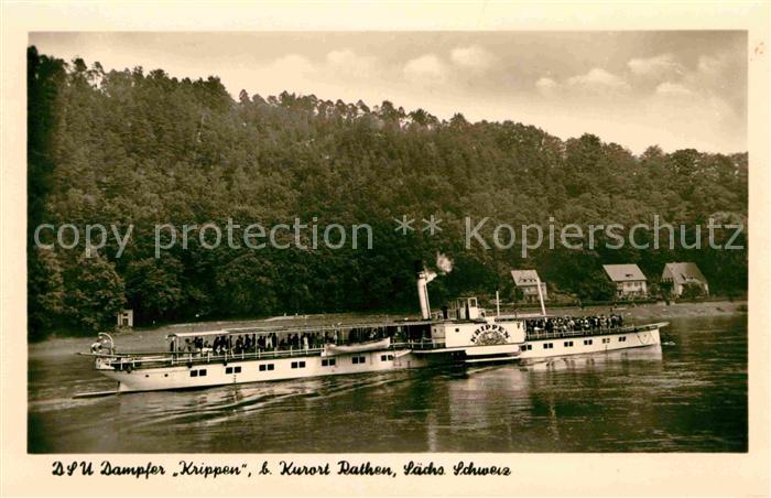 Dampfer Seitenrad Krippen Rathen