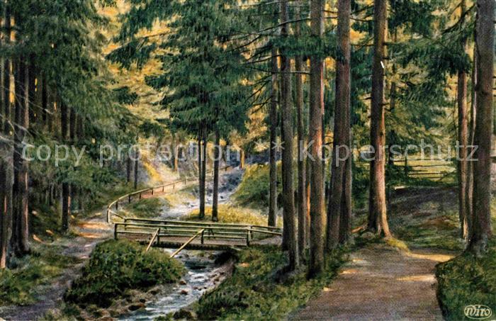 Verlag Wiedemann WIRO Nr. 3491 A Friedrichroda Kuehles Tal