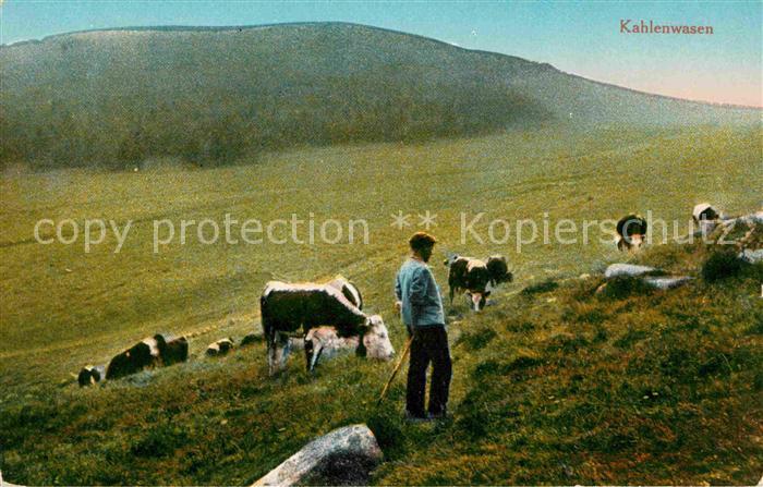 Hirte Kühe Kahlenwasen