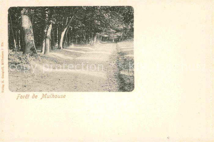 Mulhouse Muehlhausen Foret