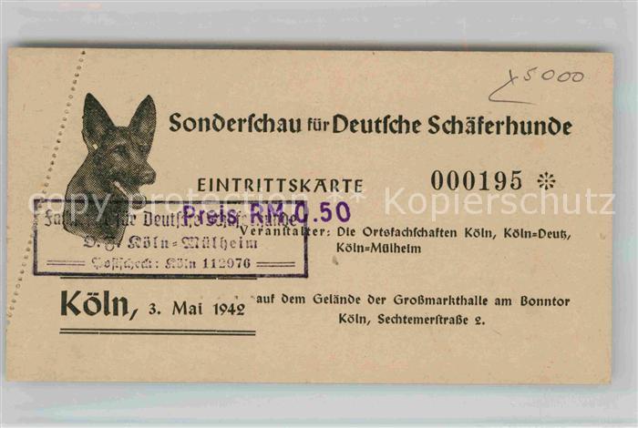 Schaeferhunde Sonderschau Köln Eintrittskarte