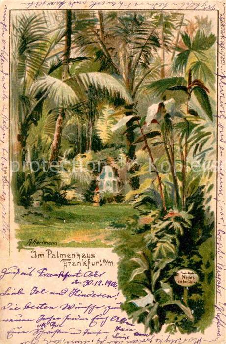 Frankfurt Main Palmenhaus