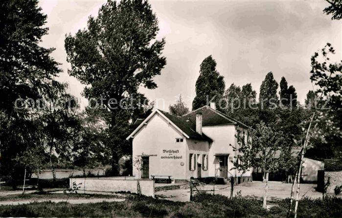Ludwigshafen Rhein Erholung Entspannung Weisses Haeusel