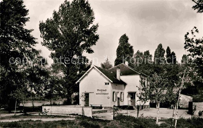 Ludwigshafen Rhein Erholung Entspannung Weisses Haeusel