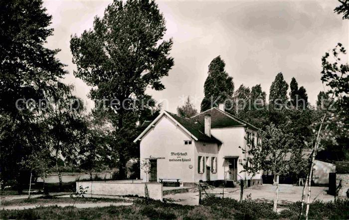 Ludwigshafen Rhein Erholung Entspannung Weisses Haeusel