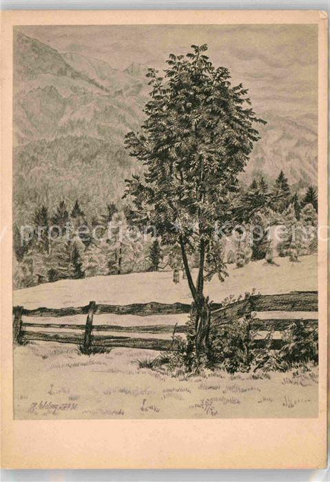 BERCHTESGADEN Bayern Bleistiftzeichnung Hildegard Ebeling Eberesche Kuenstlerkar