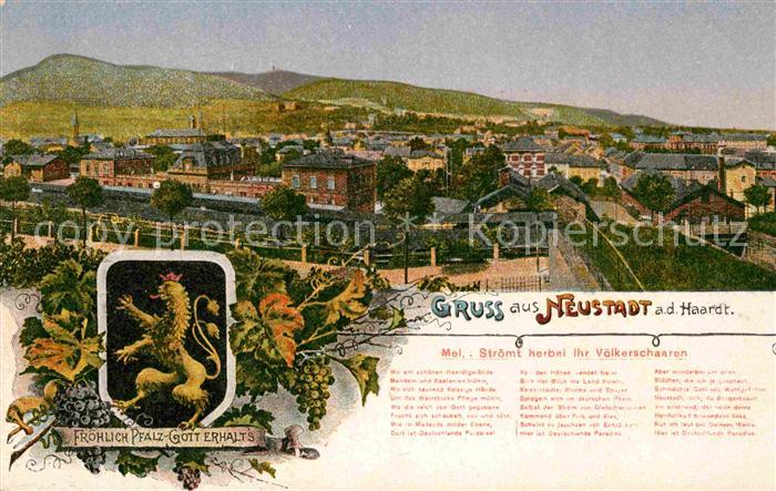 Neustadt Haardt Panorama Froehlich Pfalz Gott erhalts Poesie Wappen