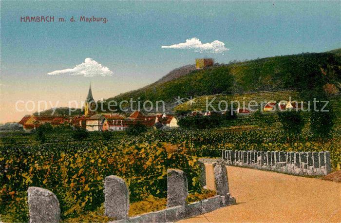 Hambach Neustadt Ortsansicht mit Kirche und Maxburg