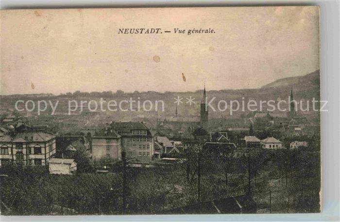 Neustadt Weinstrasse Vue generale