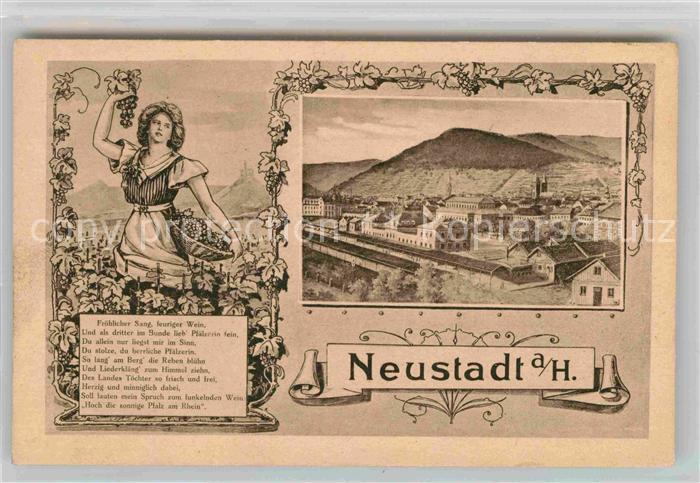 Neustadt Haardt Panorama Blick ueber die Stadt Weinlese Poesie
