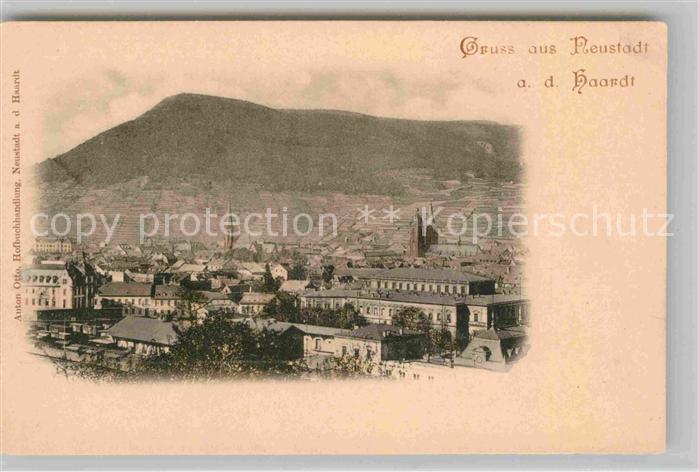 Neustadt Haardt Panorama Blick ueber die Stadt