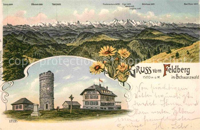 Feldberg Schwarzwald Feldberghau Aussichtsturm Bergkette
