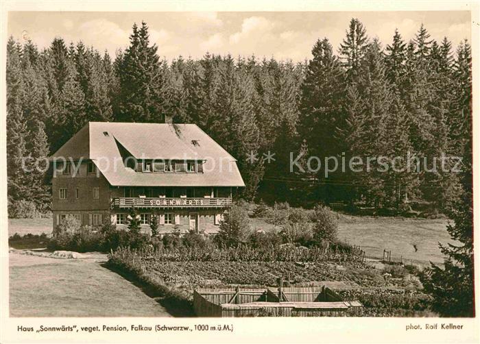 Falkau Haus Sonnwaerts