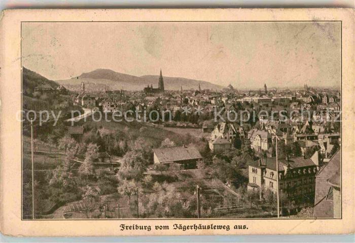 Freiburg Breisgau Muenster Jaegerhaeusleweg