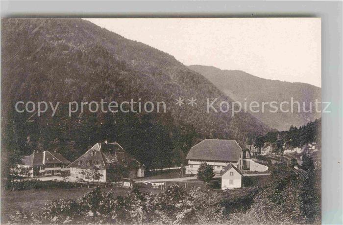 Freiburg Breisgau Schwarzwald Haeuser