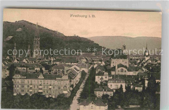 Freiburg Breisgau Muenster Panorama