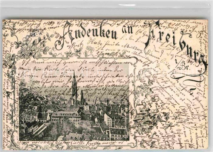 Freiburg Breisgau Muenster Panorama